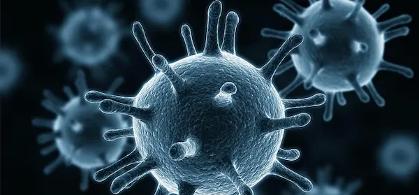 Infectious disease category image