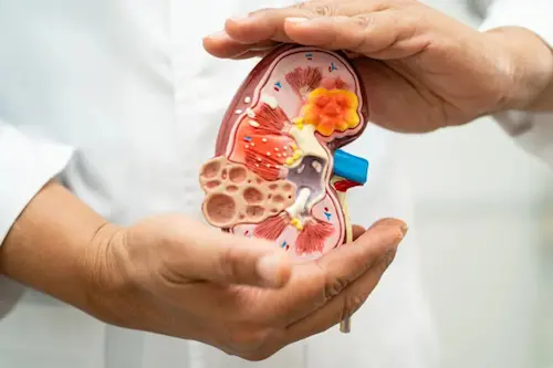Kidney test category image